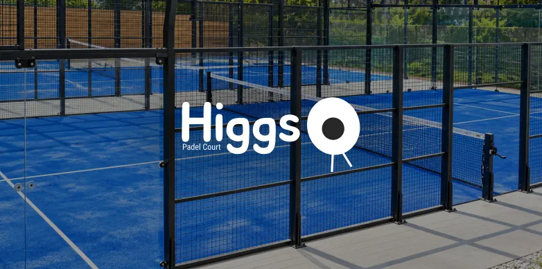 Higgs